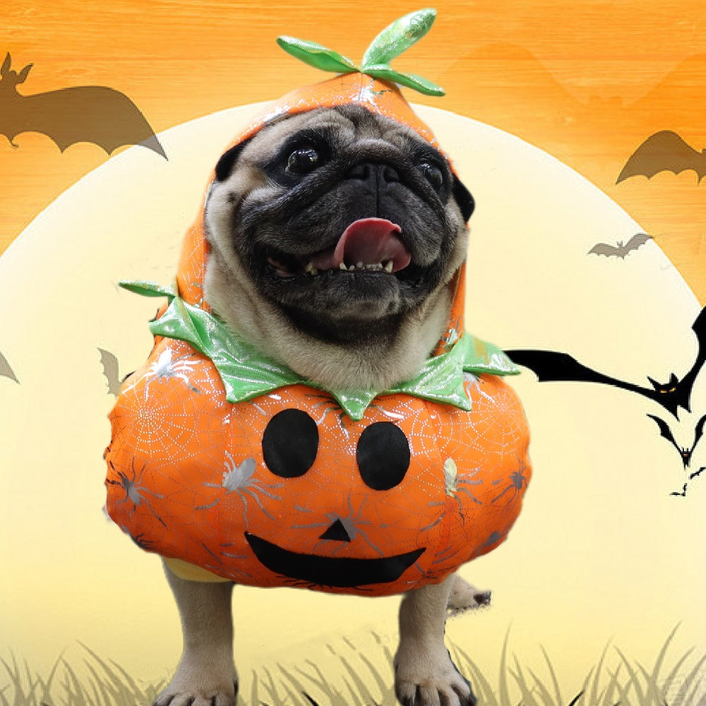 Fashion Personality Pet Halloween 3D Pumpkin Dress