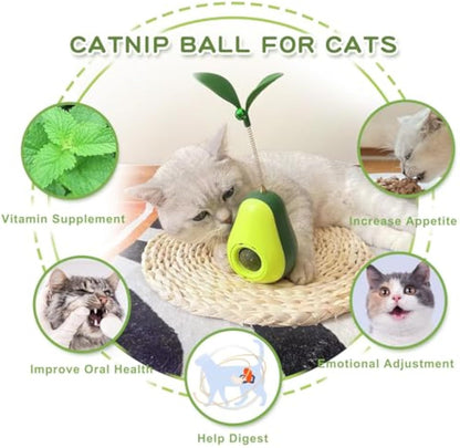 Catnip Feeder Cat Toy Cat Indoor Cat Self Groomer Cat Face Scraper Corner Massage Comb Scraper Self Groomer Cat Brush Cat Corner Funny Kitten Toys