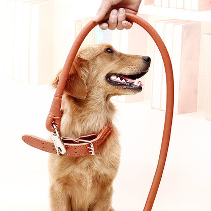 Collar Traction Rope And Dog Walking Leash Set