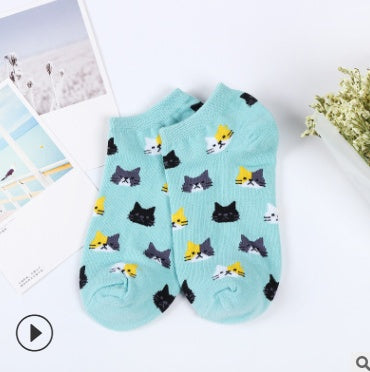 Cat Socks cotton ladies socks