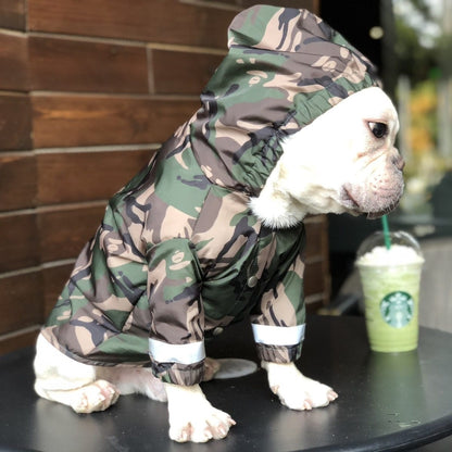 Pet trendy raincoat