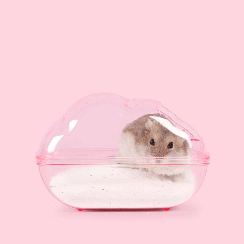 Hamster Cloud Bathroom Toilet Dual-Purpose Bathtub