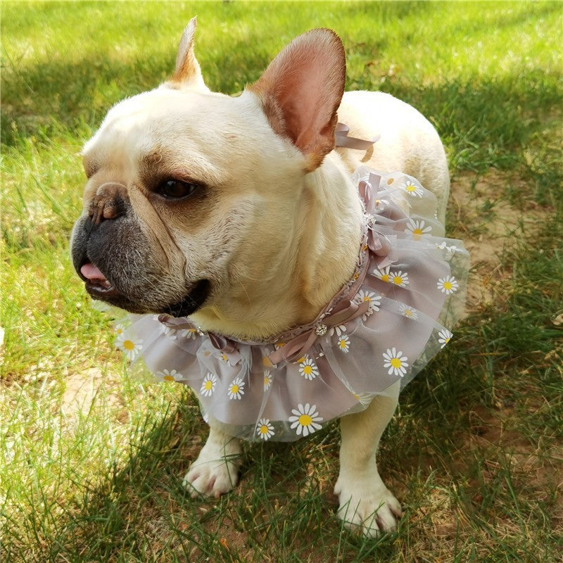 Little Daisy Pet Saliva Towel Pitbull Teddy Bichon Skirt Dog Bib