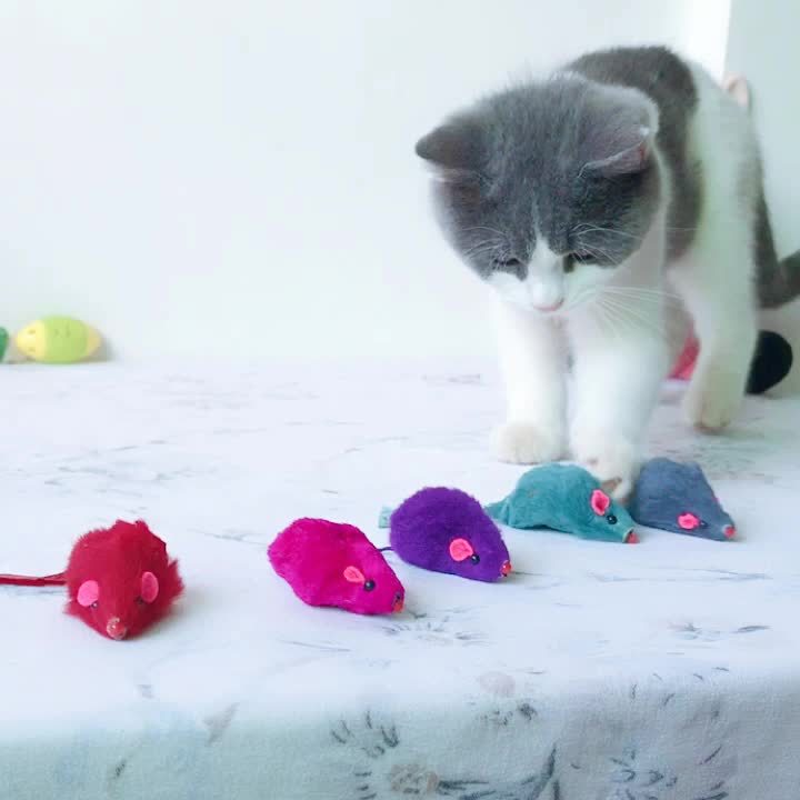 Cat Toy Little Mouse Funny Cat Puzzle Decompression Toy