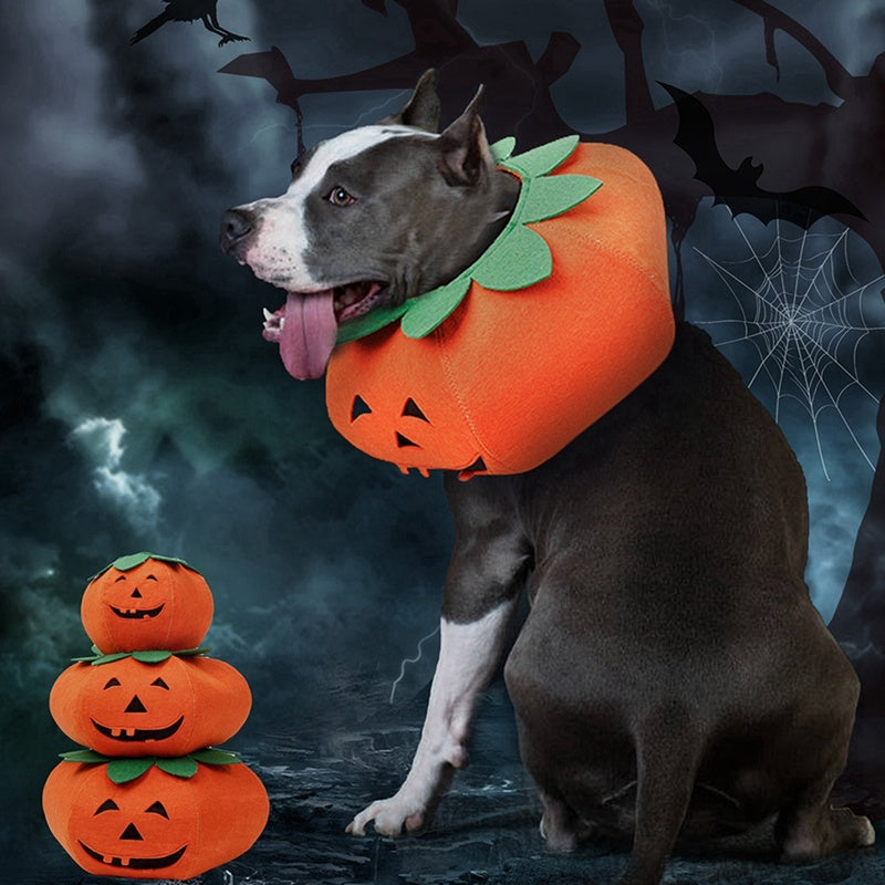 Pet Halloween Pumpkin Collars Cute Pet Cosplay Accessories