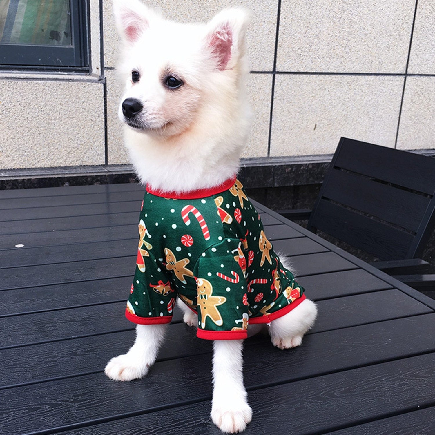 Christmas series new dog clothes