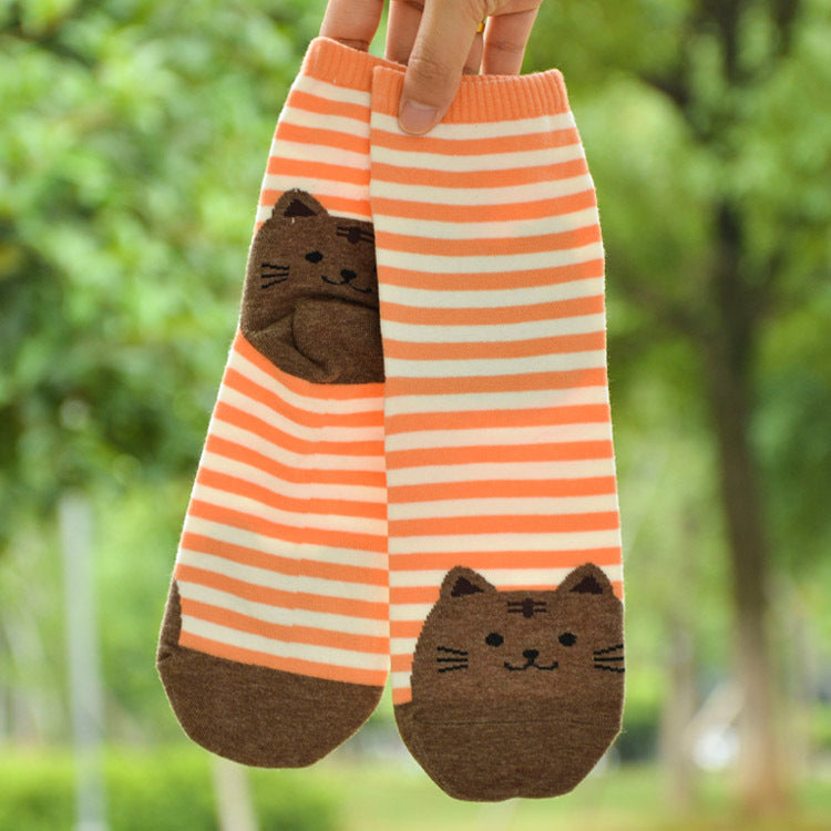 Autumn Korean cartoon socks ladies cotton socks socks wholesale in tubefun factory wholesale