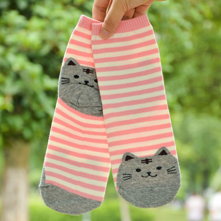 Autumn Korean cartoon socks ladies cotton socks socks wholesale in tubefun factory wholesale