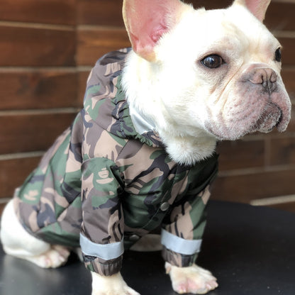 Pet trendy raincoat