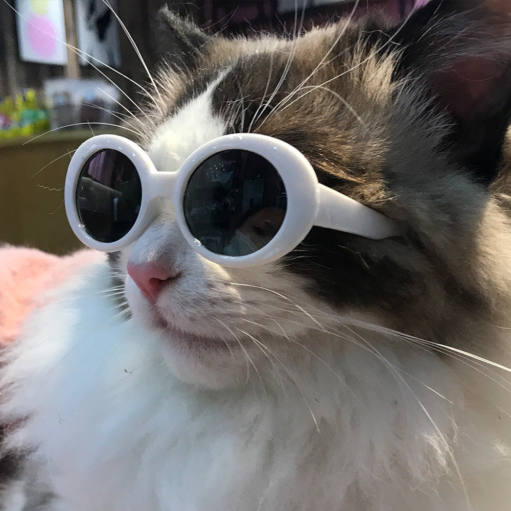 Red Pet Sunglasses Cat Model Fashion Love Eyeglass Frames