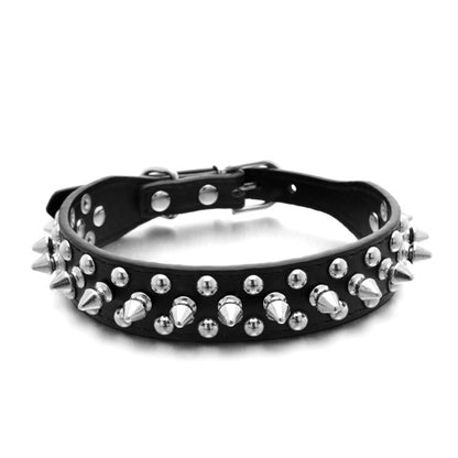 Rivet pet collar