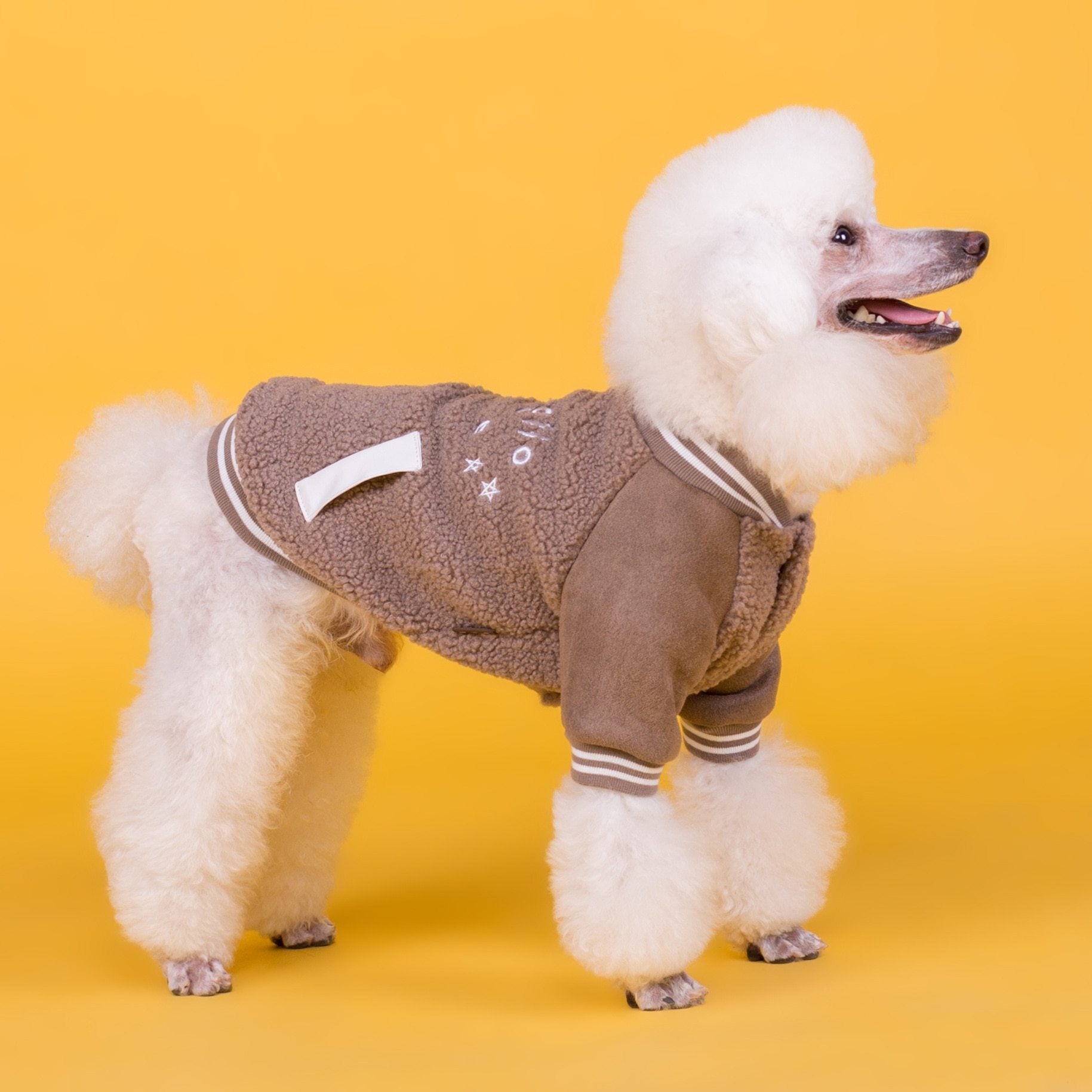 Dog cashmere coat