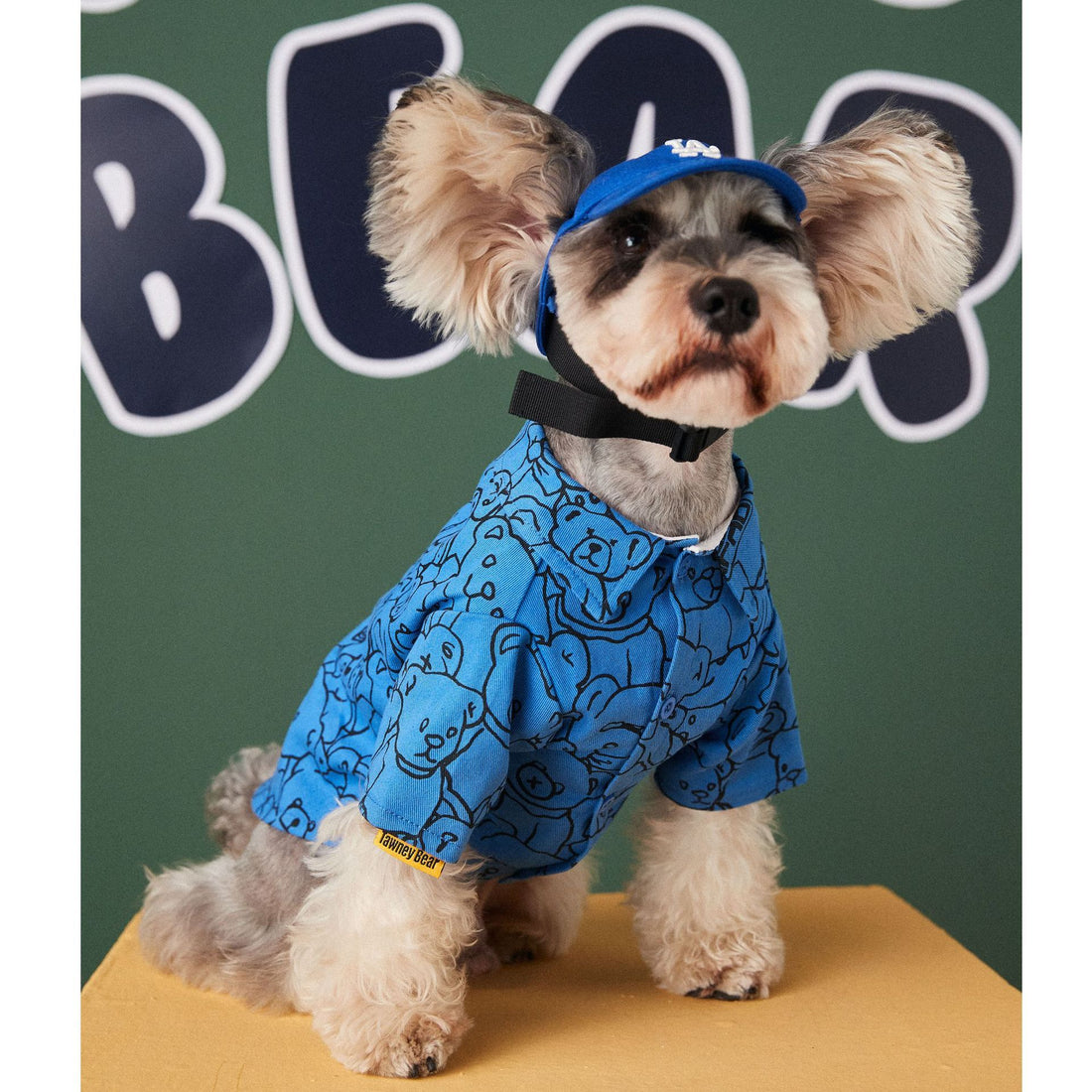 Dog Clothes New Handsome And Cute Shirt Autumn Schnauzer Bichon Print Pet Two-legged Clothes