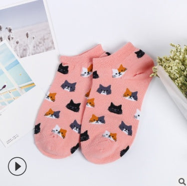 Cat Socks cotton ladies socks