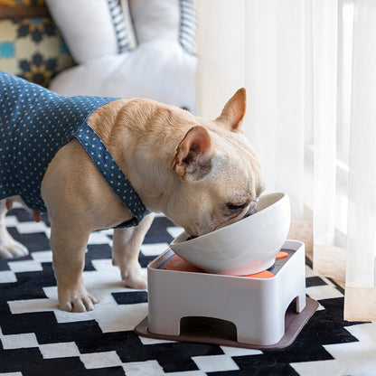 Pet ceramic bowl