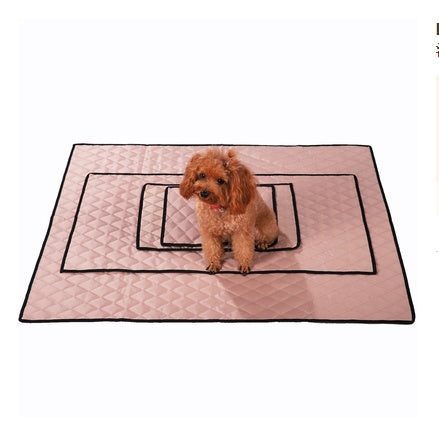 Anti Skid And Anti Dirty Car Pet Bed Mat