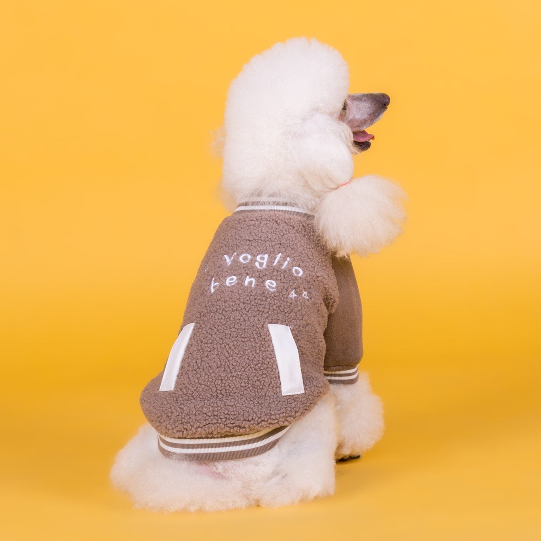 Dog cashmere coat