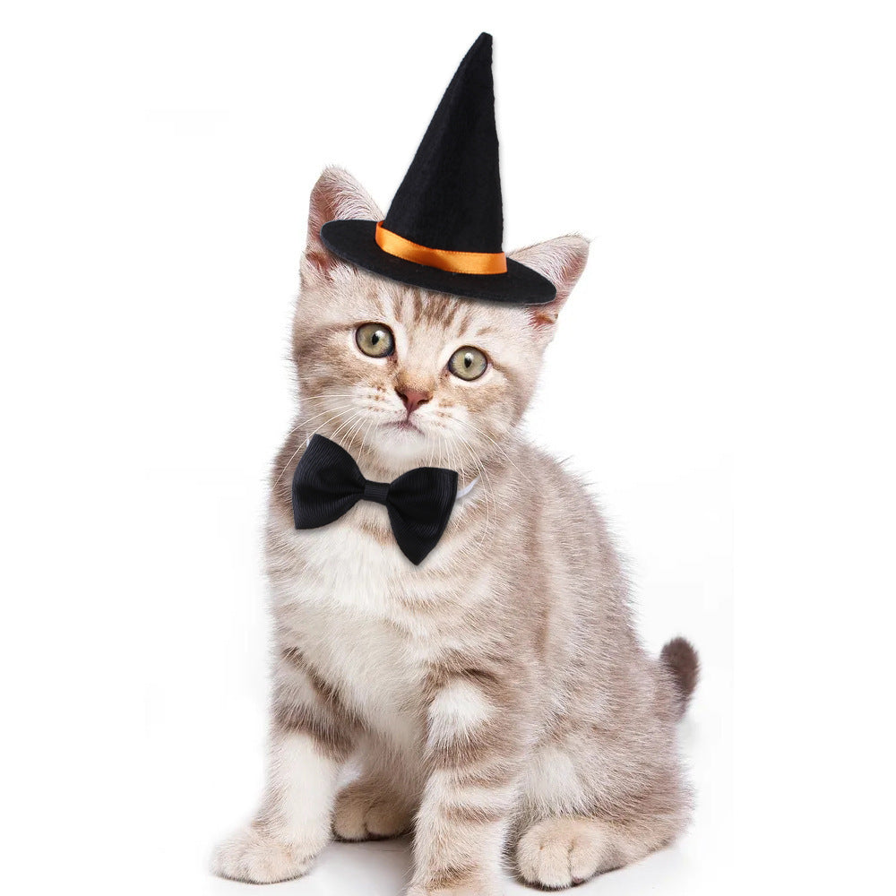 Halloween Pet Suit Wizard Hat Bow Tie