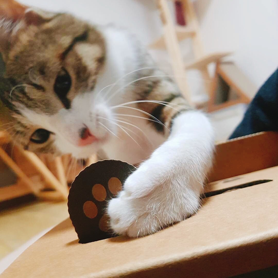 Cat Toy Hamster Machine Corrugated Paper