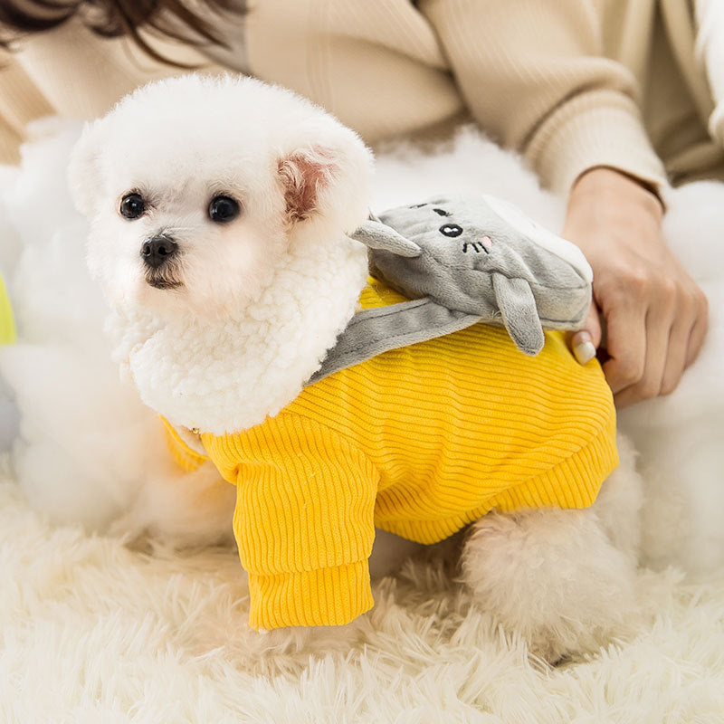 Corduroy pet clothes