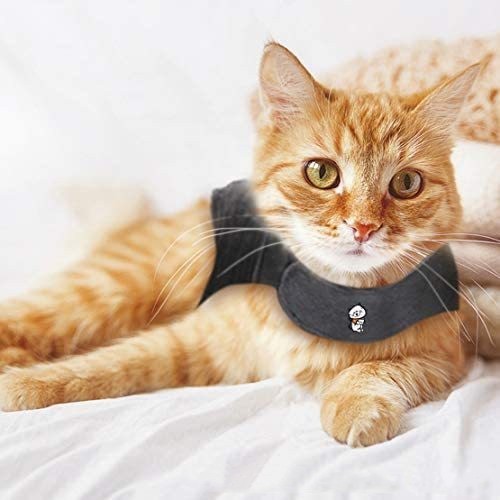 Pet Dog Clothing Cat Vest Summer