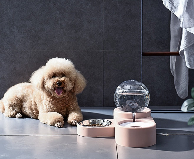 Automatic pet water bowl