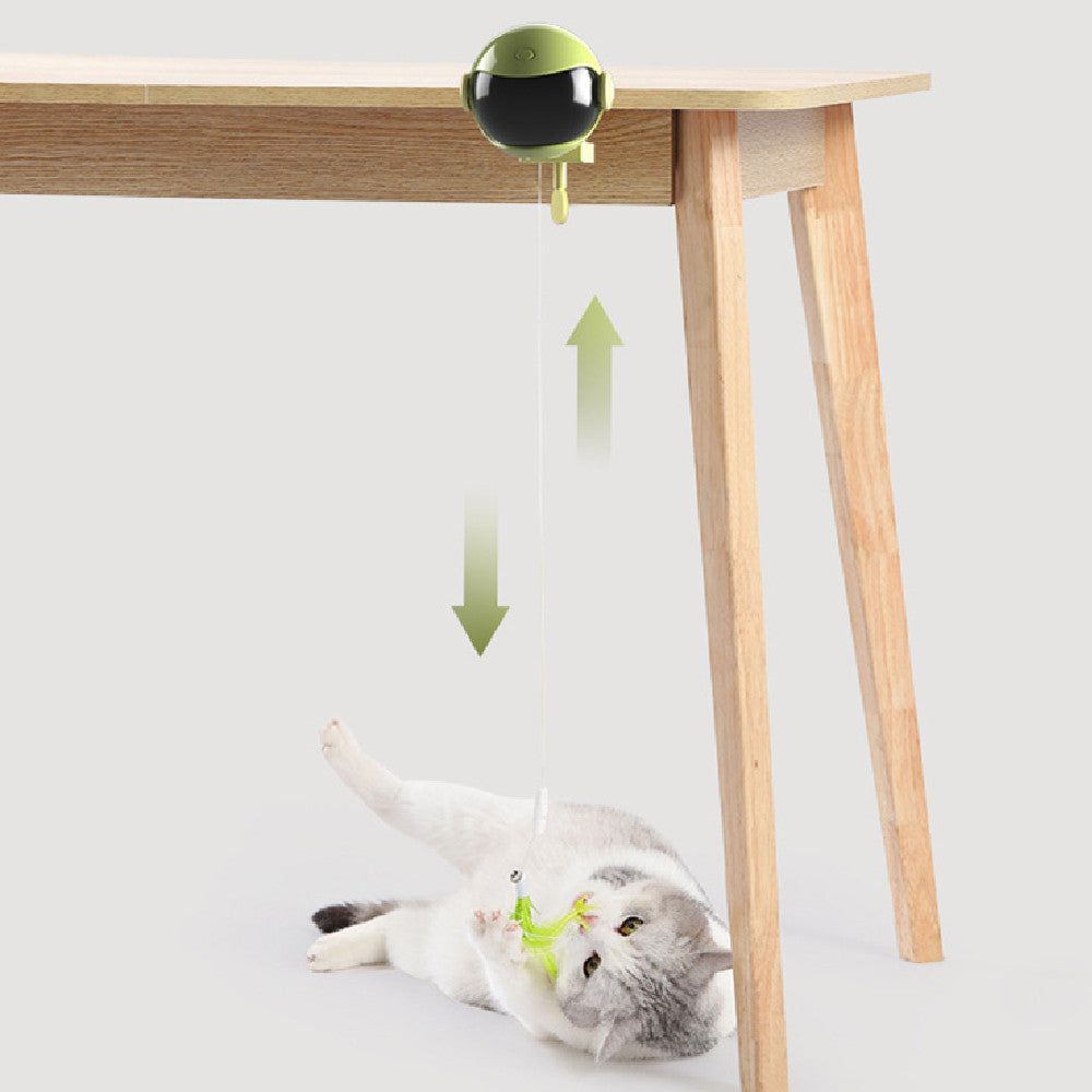 Automatic Lifting Ball Electric Cat Toy