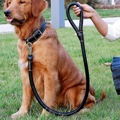 Collar Traction Rope And Dog Walking Leash Set