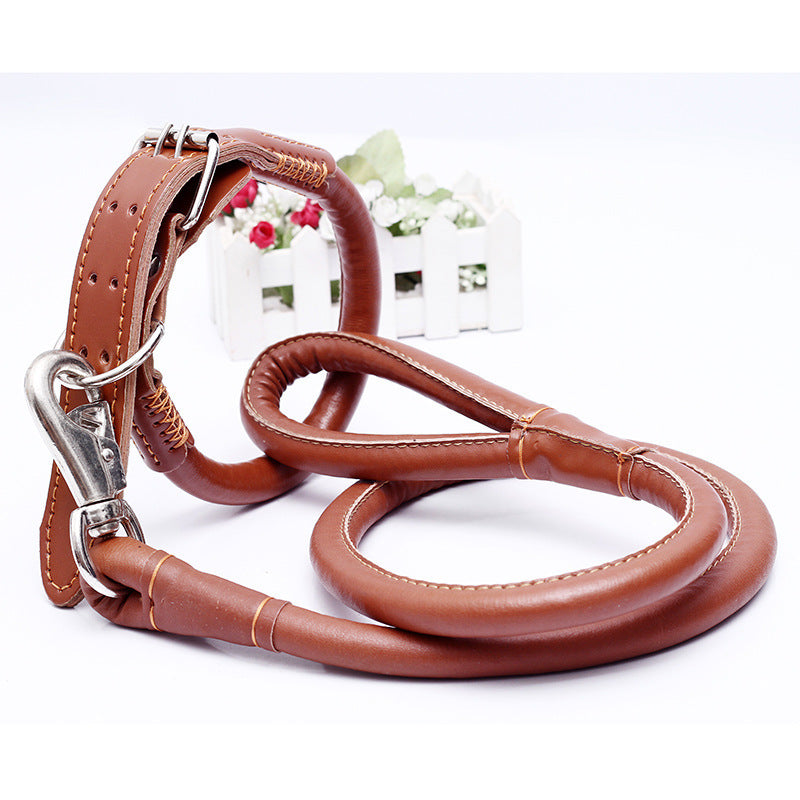 Collar Traction Rope And Dog Walking Leash Set