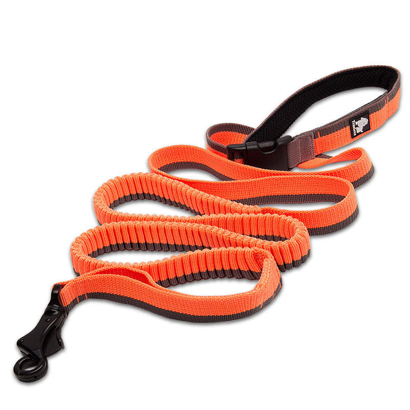 Pet running leash