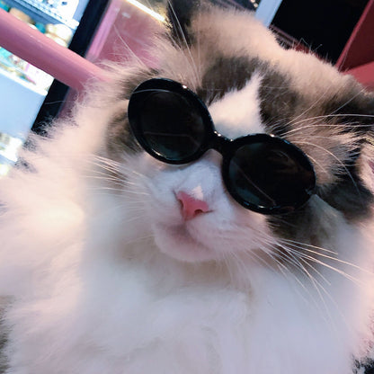 Red Pet Sunglasses Cat Model Fashion Love Eyeglass Frames