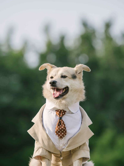 Pet Suit Dog Dress Tuxedo