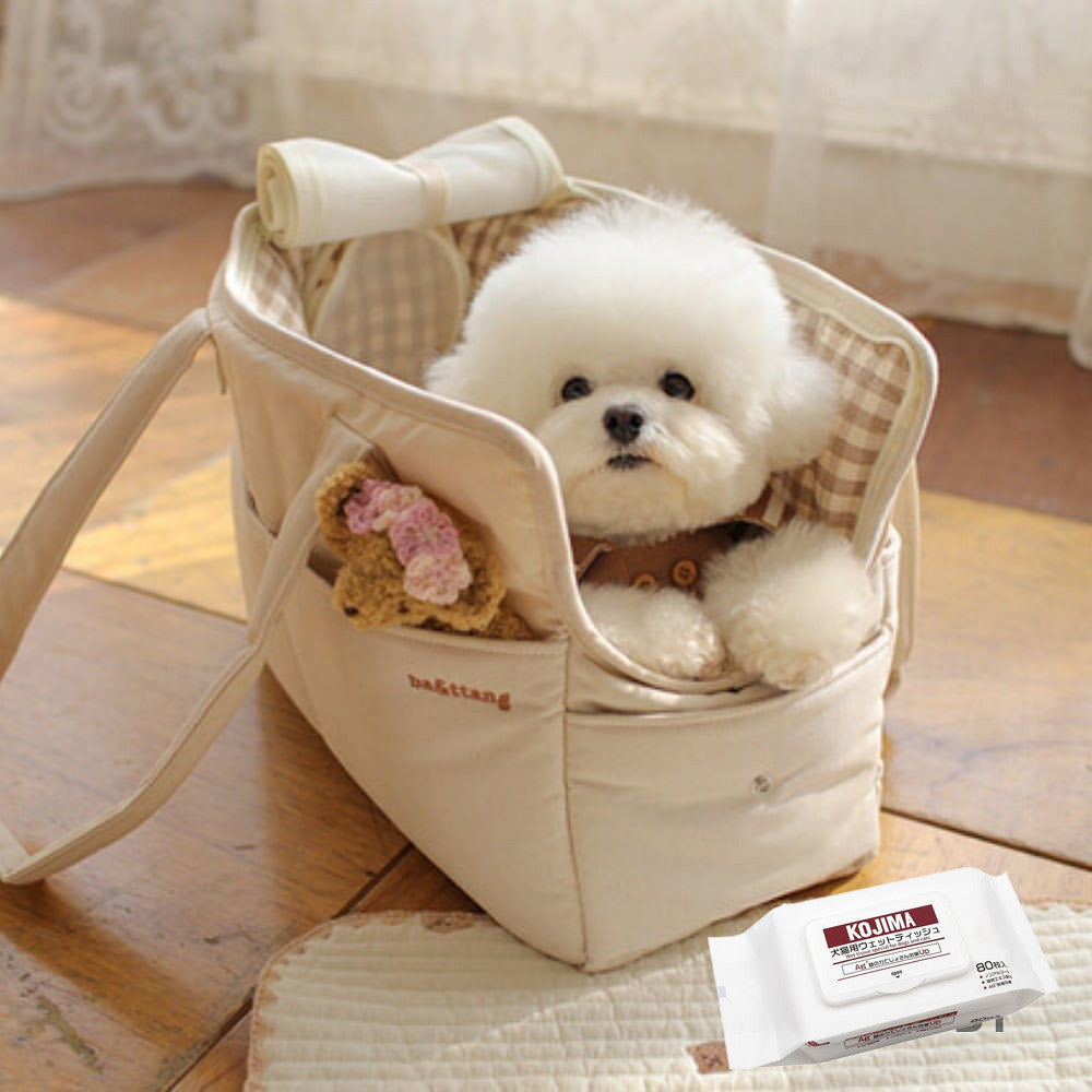 Cat Bag Teddy Bear Go Out Portable Portable