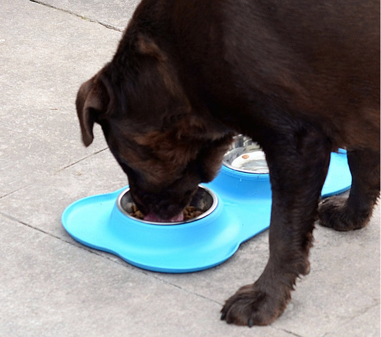 Pet double bowl