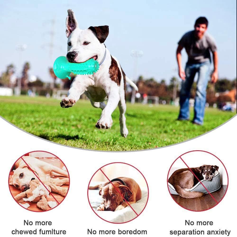 Different Functions Interactive Balls For Dogs Squeaky Dog Balls Toys And Puppy Teething Chew Toy Balls For Small Dogs Dog Balls For Clean Teeth And Training 4Pcs