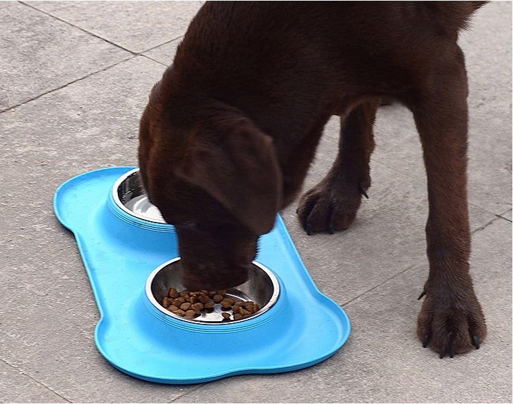 Pet double bowl