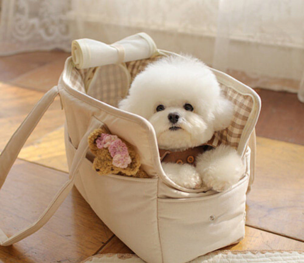 Cat Bag Teddy Bear Go Out Portable Portable