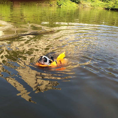 Dragon Tail Dog Life Jacket