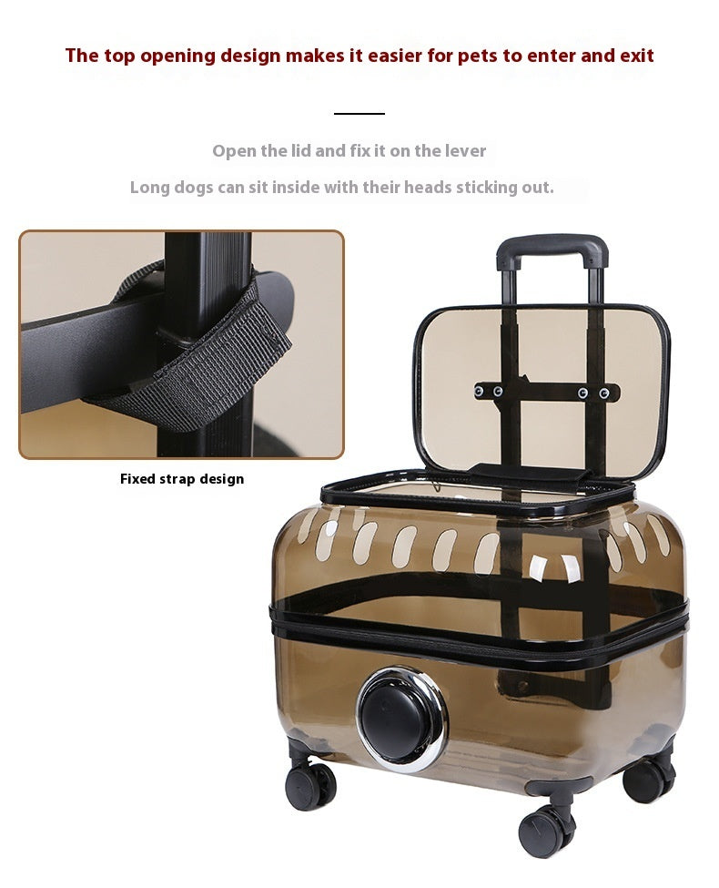 Cat Bag Portable Pet Trolley Bag Space Capsule Transparent Cat Luggage