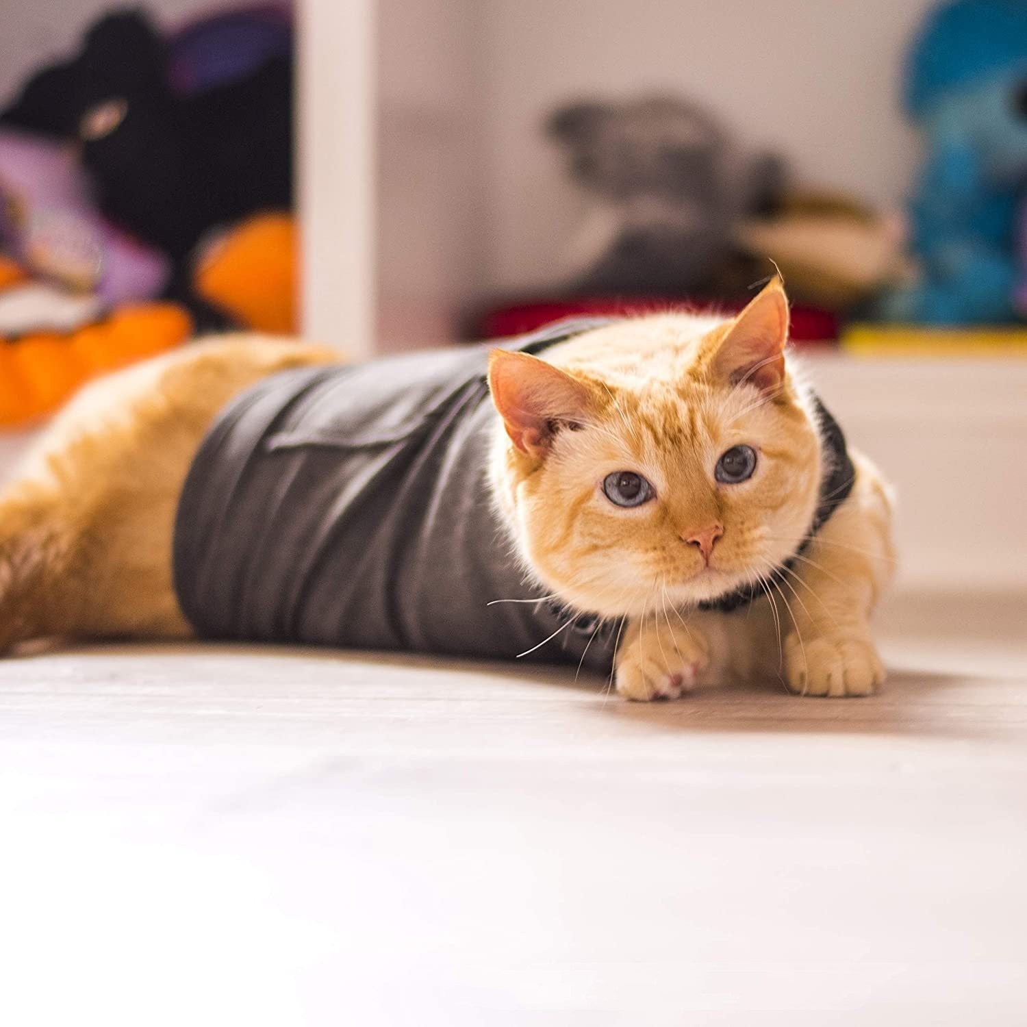 Pet Dog Clothing Cat Vest Summer