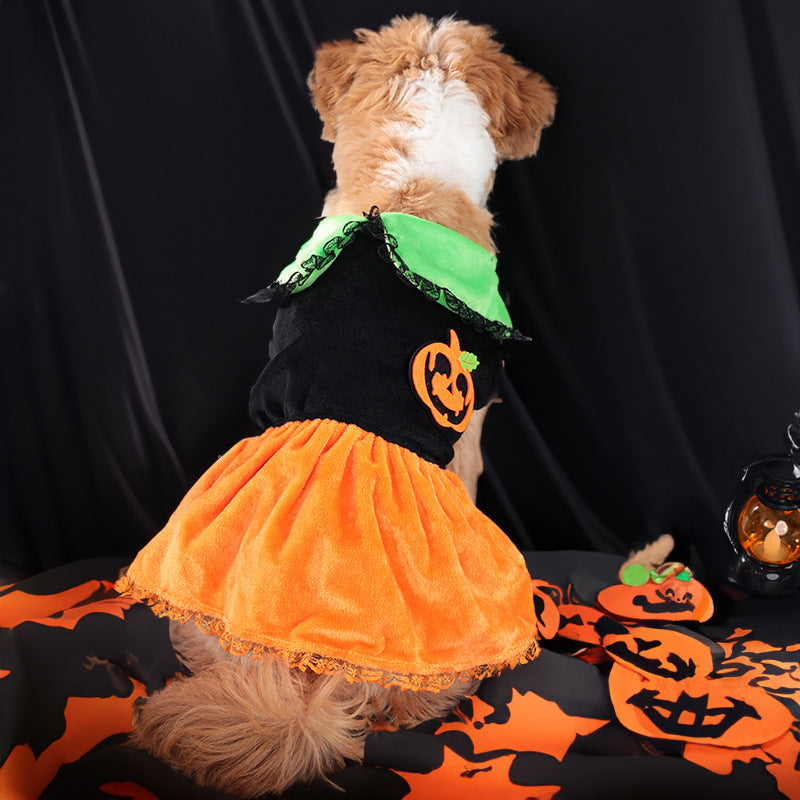 Cross-border New Arrival Pet Costume Halloween Classic Pumpkin Skirt Bichon Teddy Dog Cat Christmas Clothes