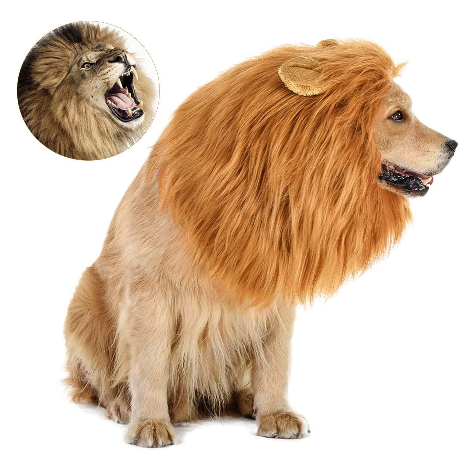 New Halloween Pet Wig Funny Lion Head Suit