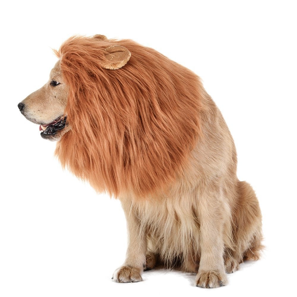 New Halloween Pet Wig Funny Lion Head Suit