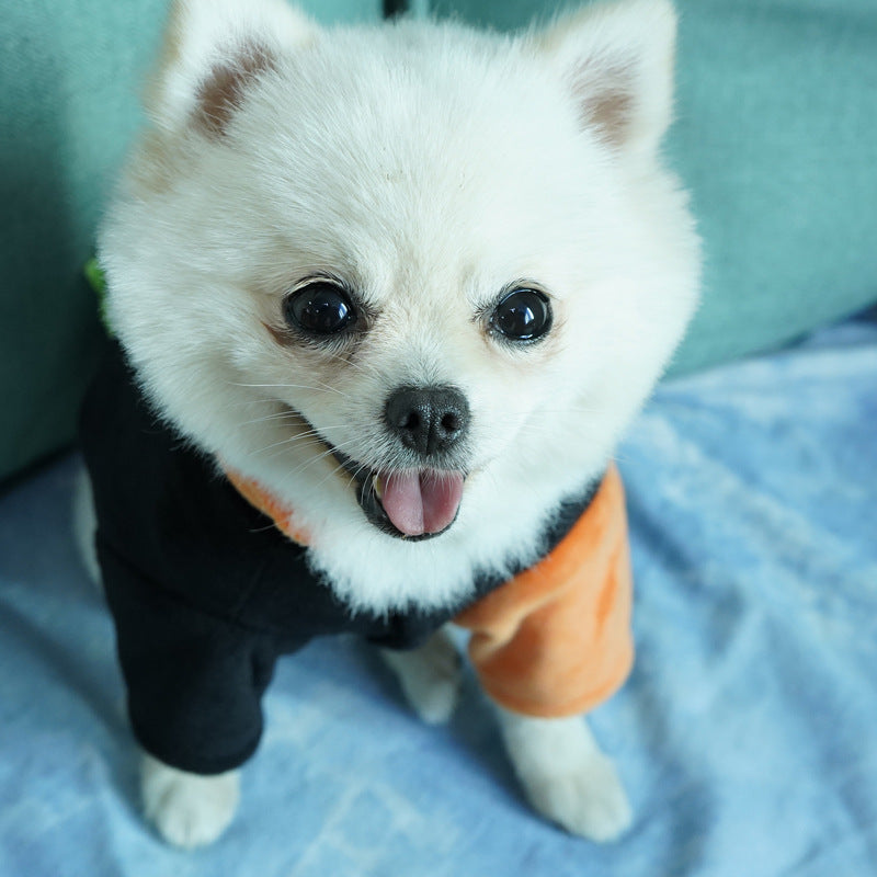 Autumn And Winter Pet Clothes