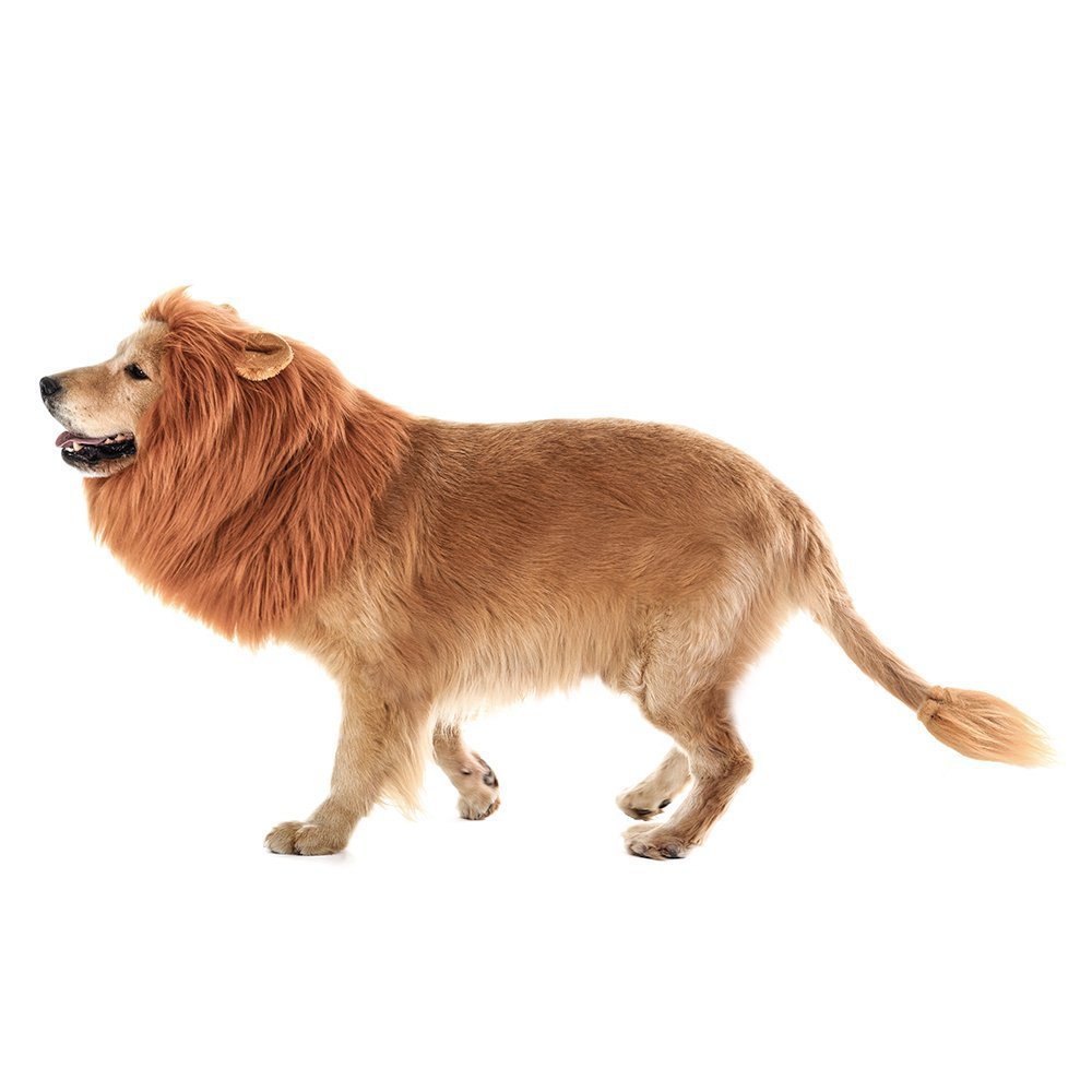 New Halloween Pet Wig Funny Lion Head Suit