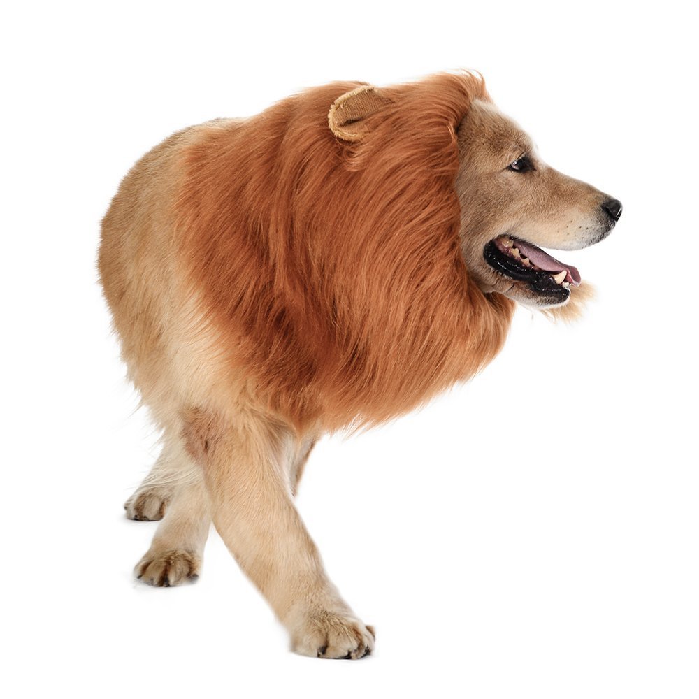 New Halloween Pet Wig Funny Lion Head Suit