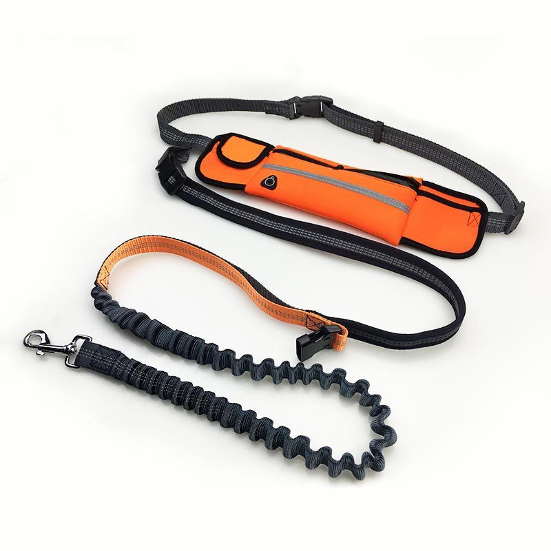 Pet Supplies Waterproof Waist Bag Sports Running Leash