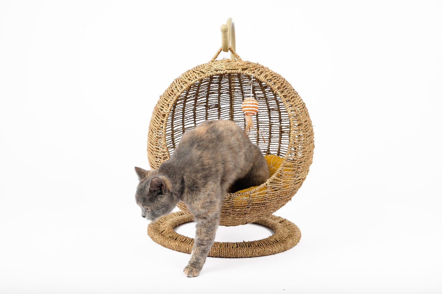 Woven Round Cat Litter Pet Bed Hanging Basket