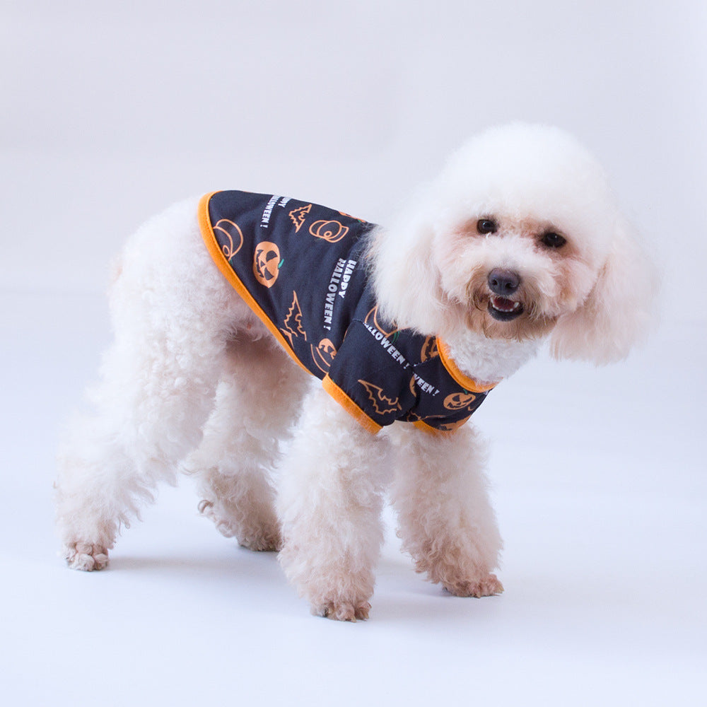 Bichon Hiromi Cat Pet Clothes