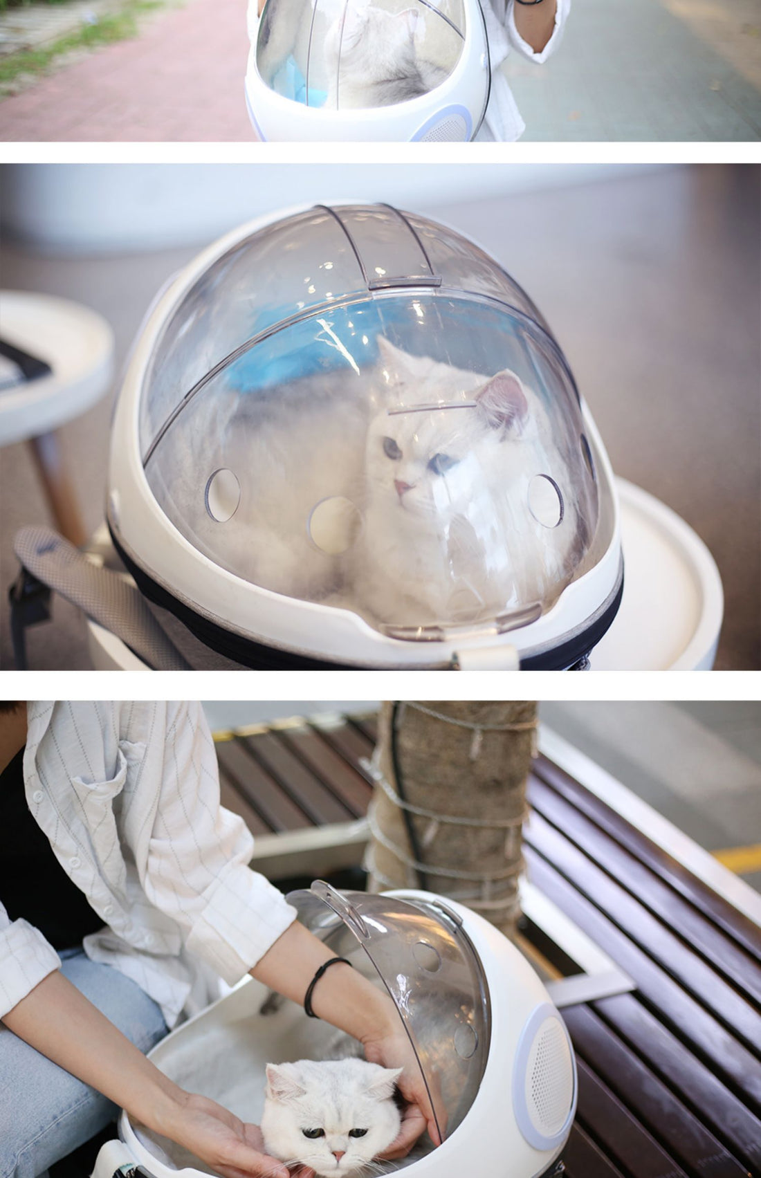 Breathable Egg Shell Cat Nest Pet Transparent Space Capsule Out Portable Backpack